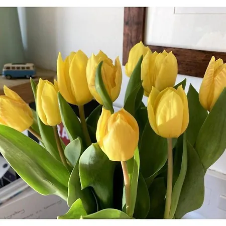 Bright, Book-filled Flat In Artsy Stokes Croft Appartement