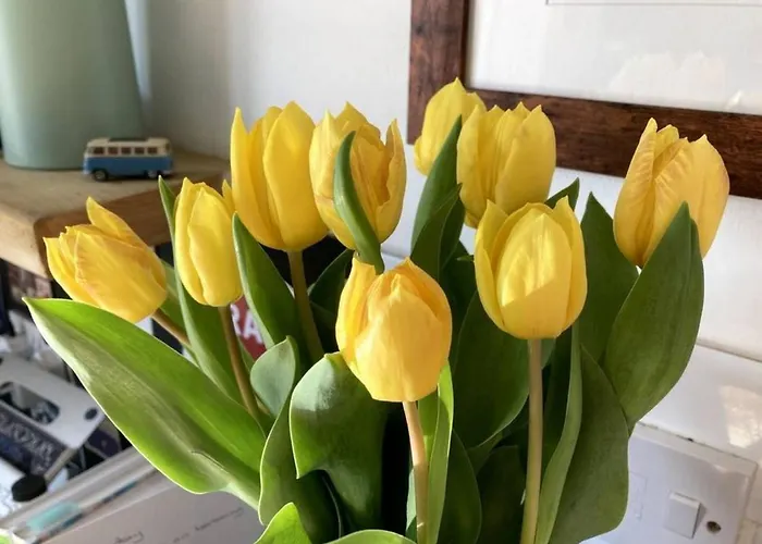Bright, Book-filled Flat In Artsy Stokes Croft Διαμέρισμα